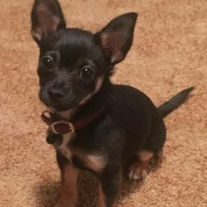 Meet your Posher, Kristin